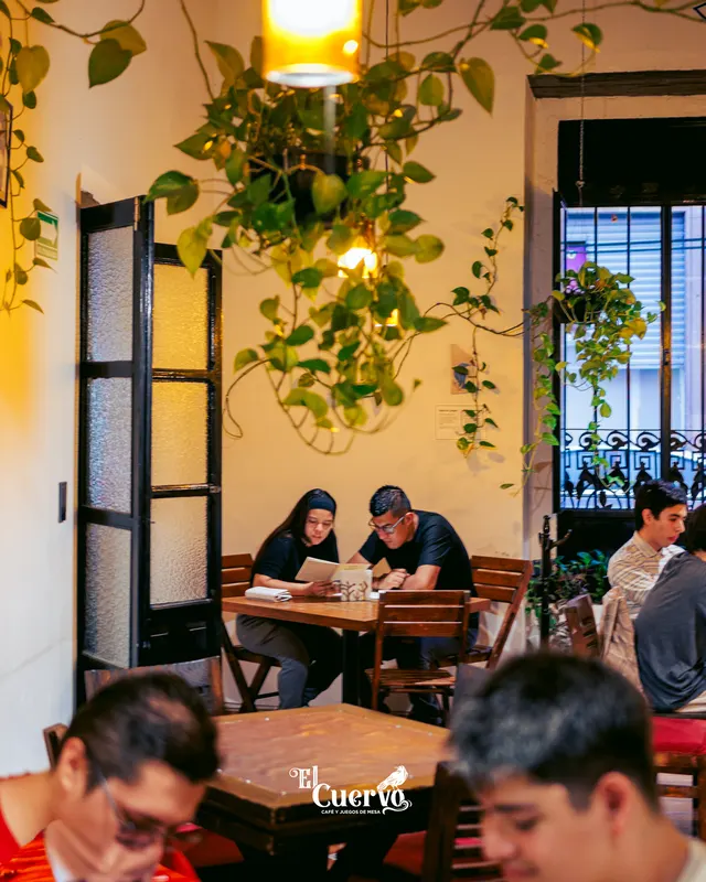 Gente leyendo el menú bajo las plantas colgantes del salón
