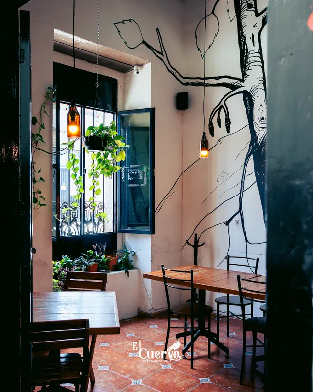 El salón con el mural de tinta, focos cálidos y una ventana con plantas